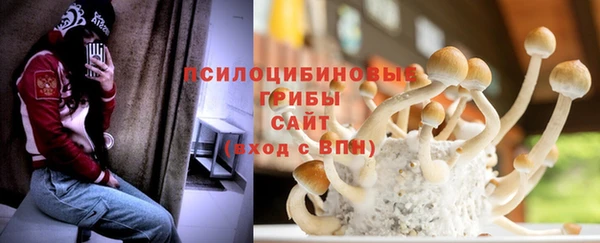 молекула духа Алексин
