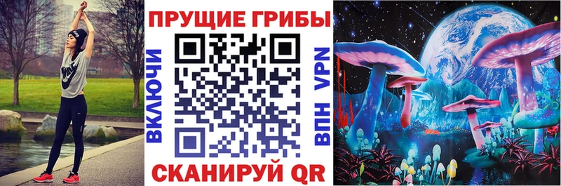 Псилоцибиновые грибы GOLDEN TEACHER  Лесосибирск 